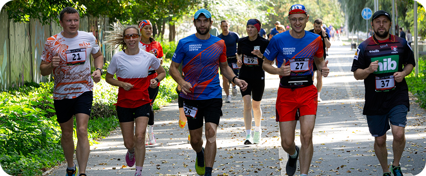 Гонка на выбывание Хитрый Лис